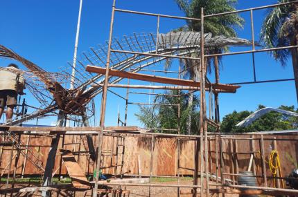 Tuiuiús